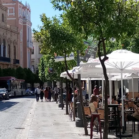 Apartment Jerez De Luz